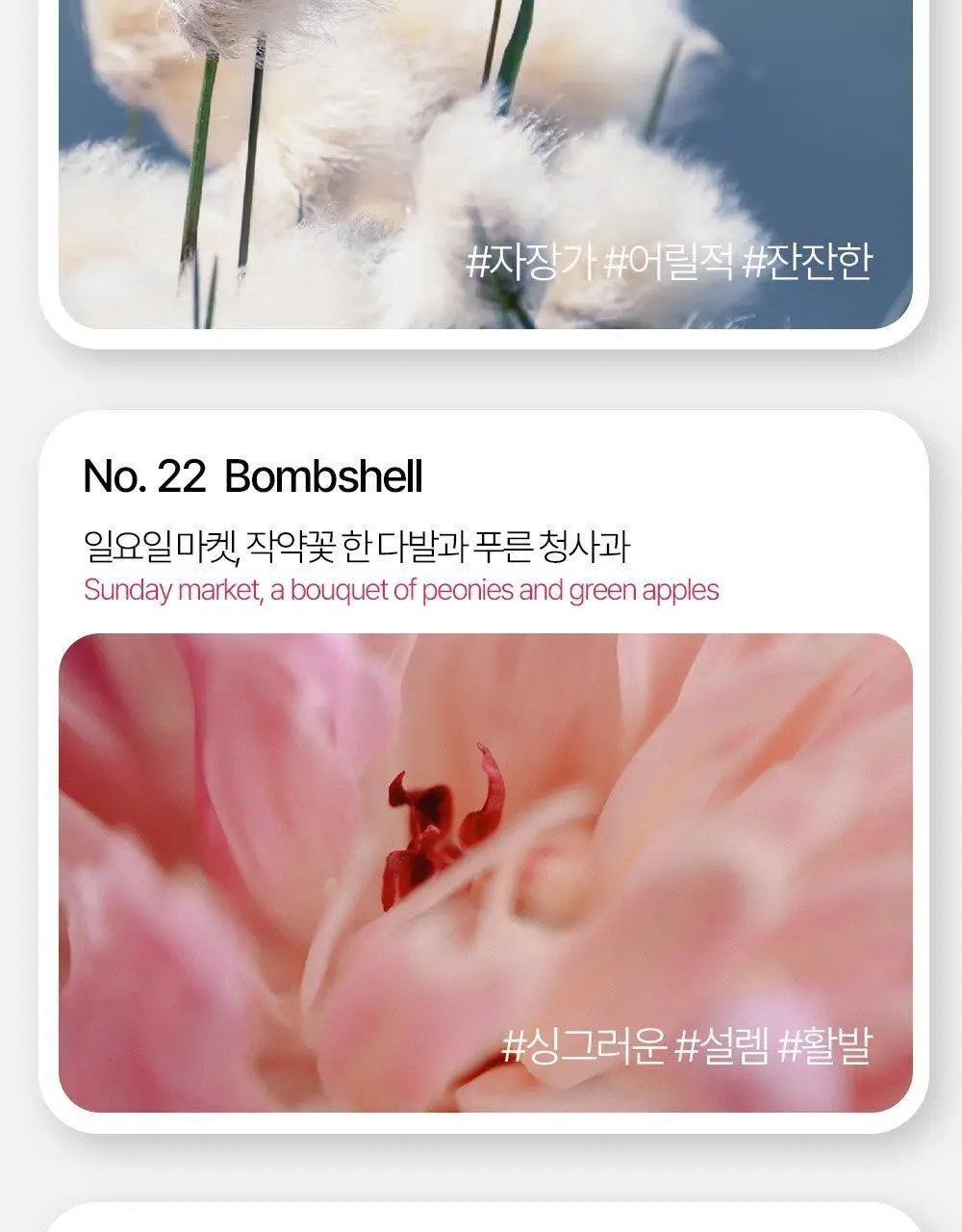[-10도급속쿨링/즉각뽀송] 헤트라스 수퍼 올데이 프레쉬 데오티슈 15매 3종 택1 상세페이지 40